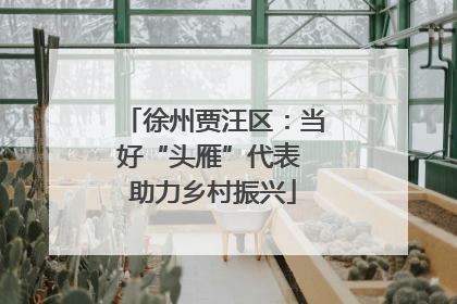 徐州贾汪区：当好“头雁”代表 助力乡村振兴