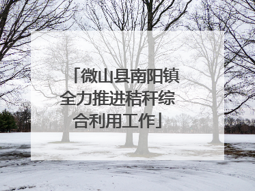 微山县南阳镇全力推进秸秆综合利用工作