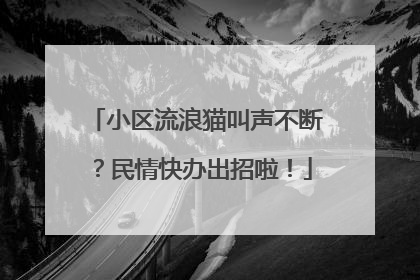 小区流浪猫叫声不断？民情快办出招啦！