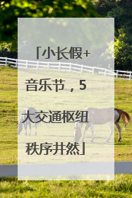 小长假+音乐节，5大交通枢纽秩序井然