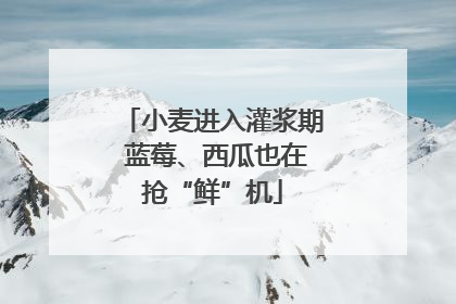 小麦进入灌浆期 蓝莓、西瓜也在抢“鲜”机