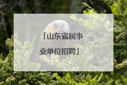 山东省属事业单位招聘