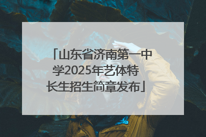 山东省济南第一中学2025年艺体特长生招生简章发布