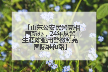 山东公安民警亮相国新办，24年从警生涯陈强用警徽照亮国际维和路