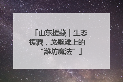 山东援藏｜生态援藏，戈壁滩上的“潍坊魔法”