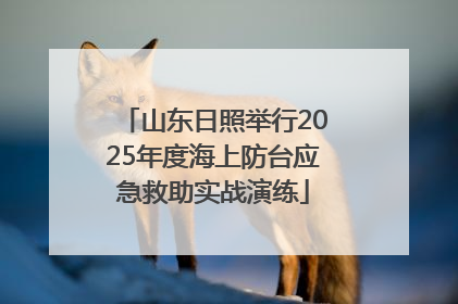 山东日照举行2025年度海上防台应急救助实战演练