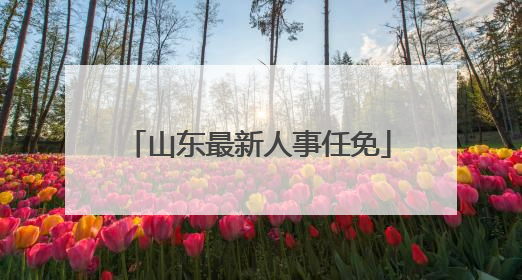 山东最新人事任免