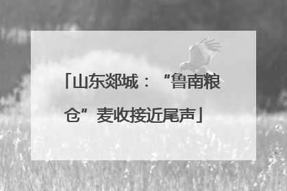 山东郯城：“鲁南粮仓”麦收接近尾声