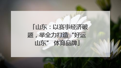 山东：以赛事经济破题，举全力打造“好运山东” 体育品牌