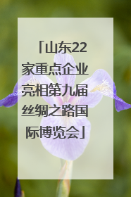 山东22家重点企业亮相第九届丝绸之路国际博览会