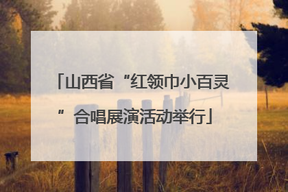 山西省“红领巾小百灵”合唱展演活动举行