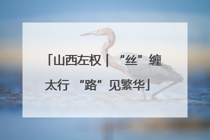 山西左权｜“丝”缠太行 “路”见繁华