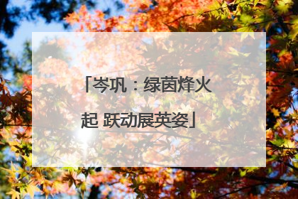 岑巩：绿茵烽火起 跃动展英姿