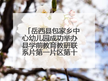 岳西县包家乡中心幼儿园成功举办县学前教育教研联系片第一片区第十三次专题研讨会