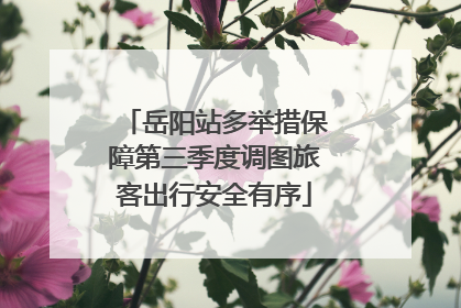 岳阳站多举措保障第三季度调图旅客出行安全有序