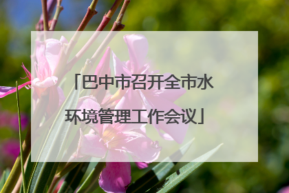 巴中市召开全市水环境管理工作会议