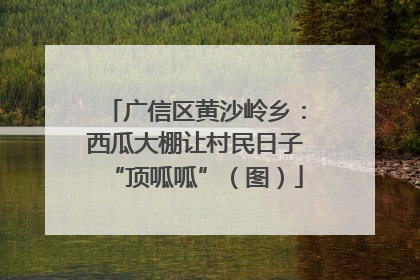 广信区黄沙岭乡：西瓜大棚让村民日子“顶呱呱”（图）