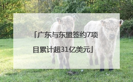 广东与东盟签约7项目累计超31亿美元