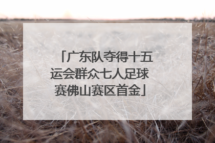 广东队夺得十五运会群众七人足球赛佛山赛区首金