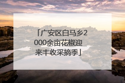 广安区白马乡2000余亩花椒迎来丰收采摘季