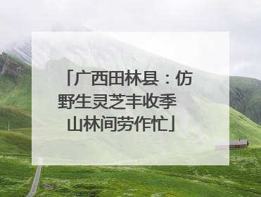 广西田林县：仿野生灵芝丰收季 山林间劳作忙