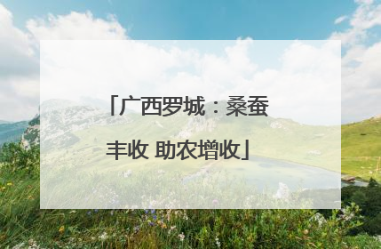 广西罗城：桑蚕丰收 助农增收