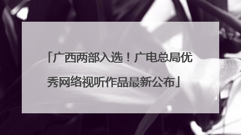 广西两部入选！广电总局优秀网络视听作品最新公布