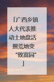 广西乡镇人大代表推动土地盘活 撂荒地变“致富园”