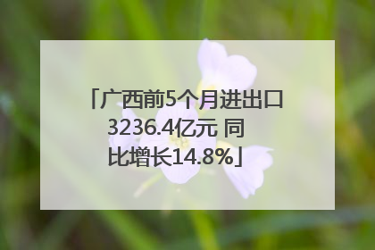 广西前5个月进出口3236.4亿元 同比增长14.8%