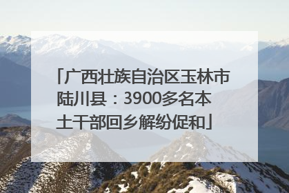 广西壮族自治区玉林市陆川县：3900多名本土干部回乡解纷促和