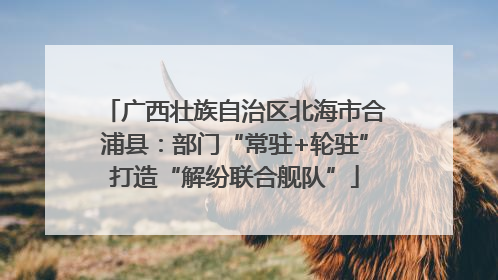 广西壮族自治区北海市合浦县：部门“常驻+轮驻”打造“解纷联合舰队”