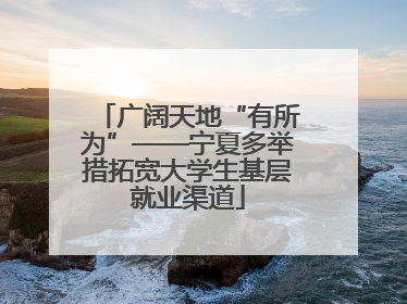 广阔天地“有所为”——宁夏多举措拓宽大学生基层就业渠道