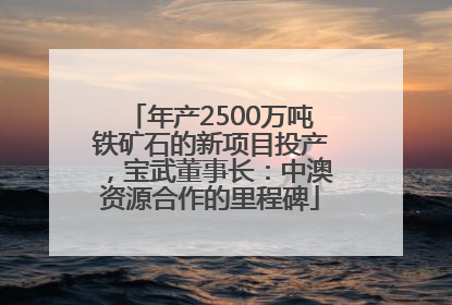 年产2500万吨铁矿石的新项目投产，宝武董事长：中澳资源合作的里程碑