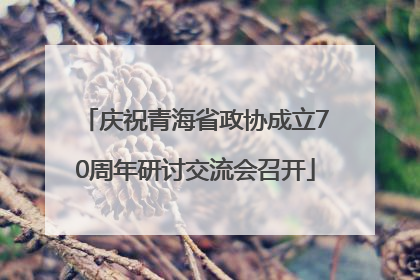 庆祝青海省政协成立70周年研讨交流会召开