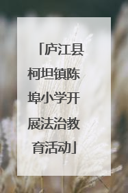 庐江县柯坦镇陈埠小学开展法治教育活动