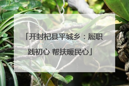 开封杞县平城乡：履职践初心 帮扶暖民心