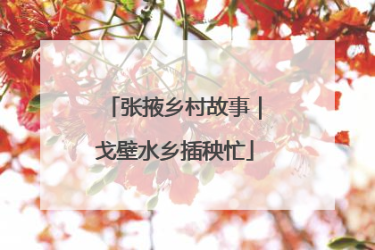 张掖乡村故事｜戈壁水乡插秧忙