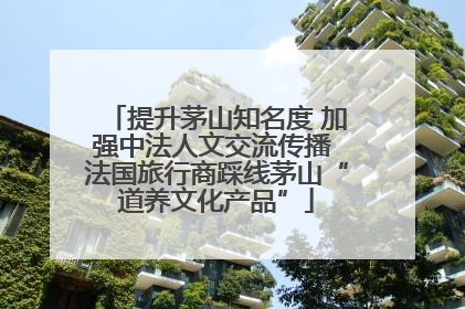 提升茅山知名度 加强中法人文交流传播 法国旅行商踩线茅山“道养文化产品”