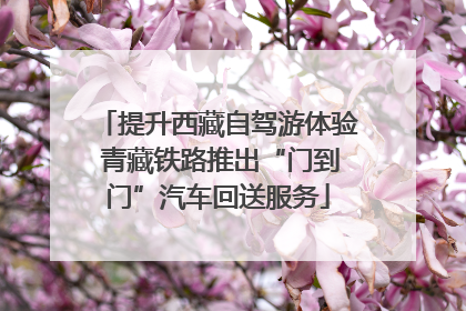 提升西藏自驾游体验 青藏铁路推出“门到门”汽车回送服务