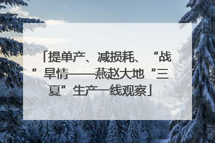 提单产、减损耗、“战”旱情——燕赵大地“三夏”生产一线观察