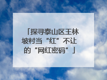 探寻泰山区王林坡村当“红”不让的“网红密码”