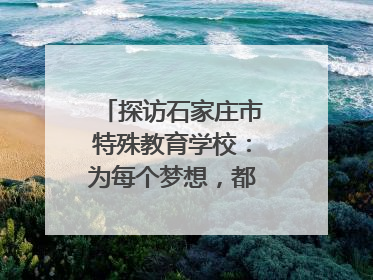 探访石家庄市特殊教育学校：为每个梦想，都插上“翅膀”