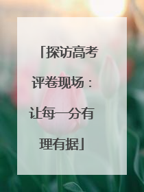 探访高考评卷现场：让每一分有理有据