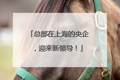 总部在上海的央企，迎来新领导！