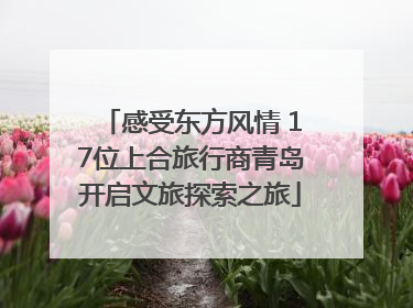 感受东方风情 17位上合旅行商青岛开启文旅探索之旅