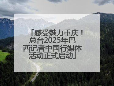 感受魅力重庆！总台2025年巴西记者中国行媒体活动正式启动