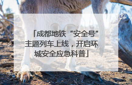 成都地铁“安全号”主题列车上线，开启环城安全应急科普
