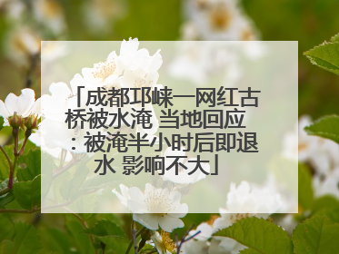 成都邛崃一网红古桥被水淹 当地回应：被淹半小时后即退水 影响不大