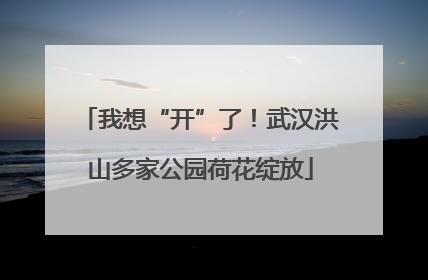 我想“开”了！武汉洪山多家公园荷花绽放