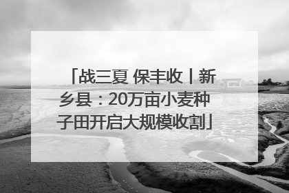 战三夏 保丰收丨新乡县：20万亩小麦种子田开启大规模收割